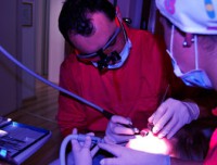 /album/galleria-foto-il-centro/cache-2421523316-jpg/